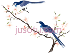 鸟,花,插画,蓝色,白色,粉色PNG