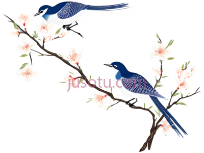 鸟,花,插画,蓝色,白色,粉色, PNG
