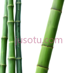 竹子, PNG