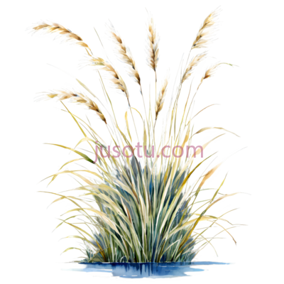 芦苇,插画,绿色,黄色, PNG