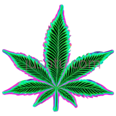 大麻叶PNG