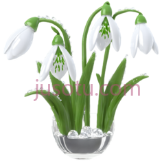 雪花莲,玻璃花艺,白色,绿色PNG