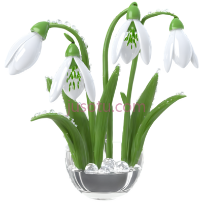 雪花莲,玻璃花艺,白色,绿色, PNG