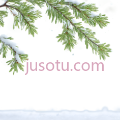 松树枝,自然,绿色PNG