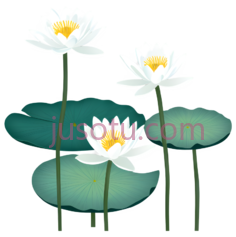 莲花,插画,白色,黄色PNG