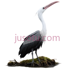 巨鸟PNG