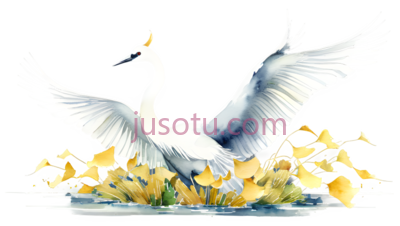 仙鹤,插画,白色, PNG
