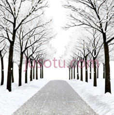 银杏树,雪PNG