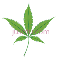 大麻叶,卡通,绿色PNG