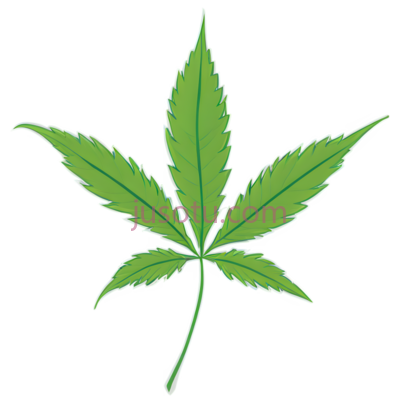 大麻叶,卡通,绿色, PNG