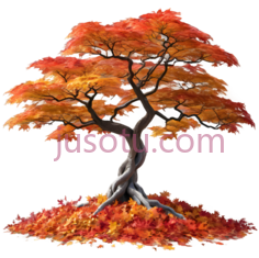 树,盆景,橙色PNG