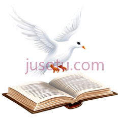 鸽子,卡通,白色PNG