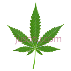 大麻叶,绿色PNG