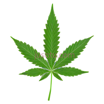 大麻叶,绿色, PNG