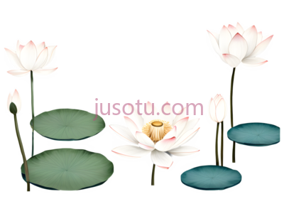 荷花,插画,白色,粉色,绿色, PNG