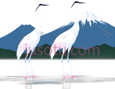 鹤,抽象,白色PNG