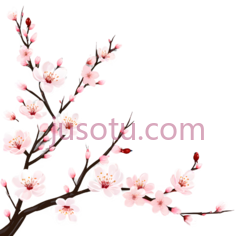 樱花,小鸟PNG