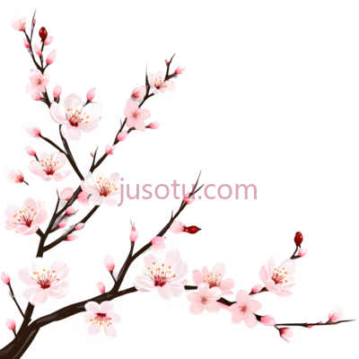 樱花,小鸟, PNG