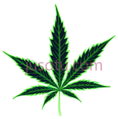 卡通大麻PNG