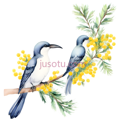 蓝白相间的鸟,黄色的花,插画,蓝色,白色,黄色, PNG