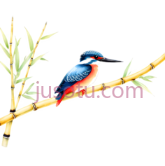 翠鸟,插画,蓝色,橙色,白色PNG