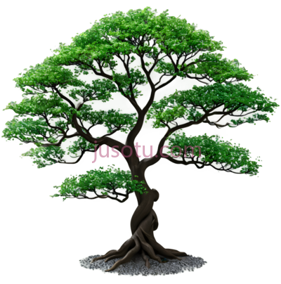 树,盆景,绿色, PNG