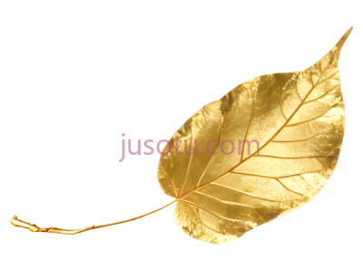 叶子,金色,黄色, PNG