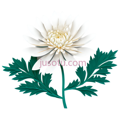 菊花, PNG