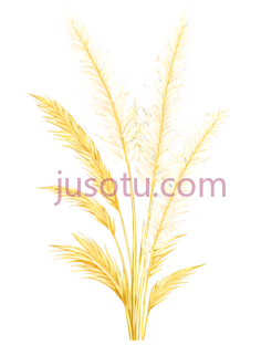 麦穗,插画,金色PNG