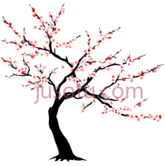 樱花,插画,白色PNG