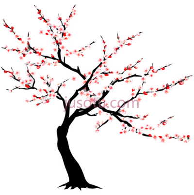 樱花,插画,白色, PNG