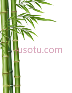 竹子,插画,绿色PNG