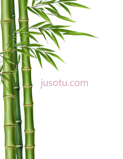 竹子,插画,绿色, PNG