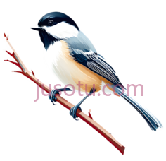 知更鸟PNG