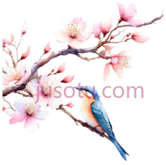 鸟,花,插画,粉色,蓝色,白色PNG