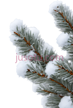冬季,风景PNG