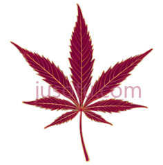 大麻叶,红色PNG