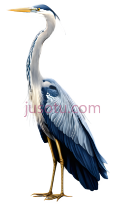苍鹭,插画,蓝色, 白色PNG
