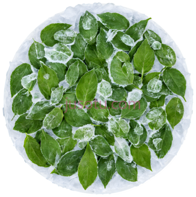 冰片,薄荷, PNG