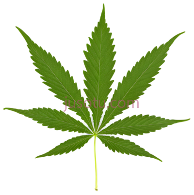 大麻叶,植物,叶子, PNG