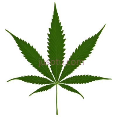 大麻叶,植物, PNG
