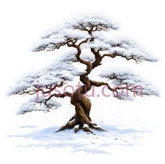 树,盆景,棕色,白色PNG