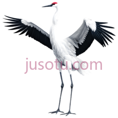 丹顶鹤,卡通,白色PNG