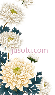 菊花,边框, PNG