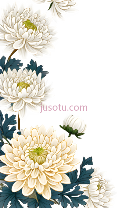 菊花,边框, PNG