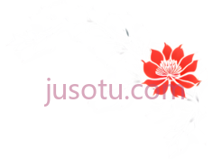 剪纸,花, PNG