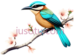 花卉,翠鸟PNG