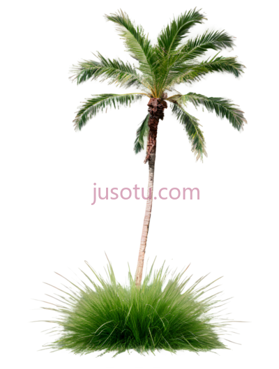 花草,棕榈树, PNG