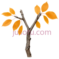 秋树枝PNG