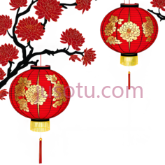 灯笼,菊花PNG